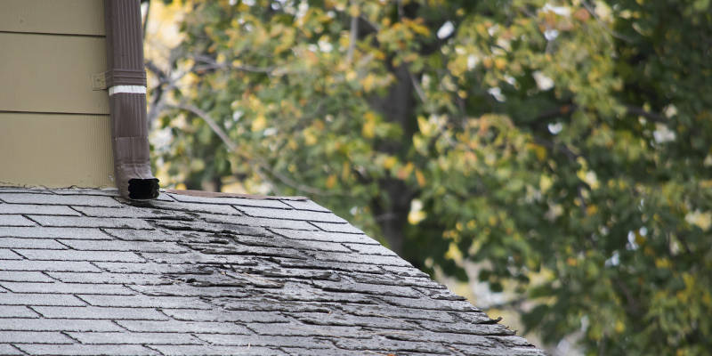 Improve Your Housetop with Roof Softwashing