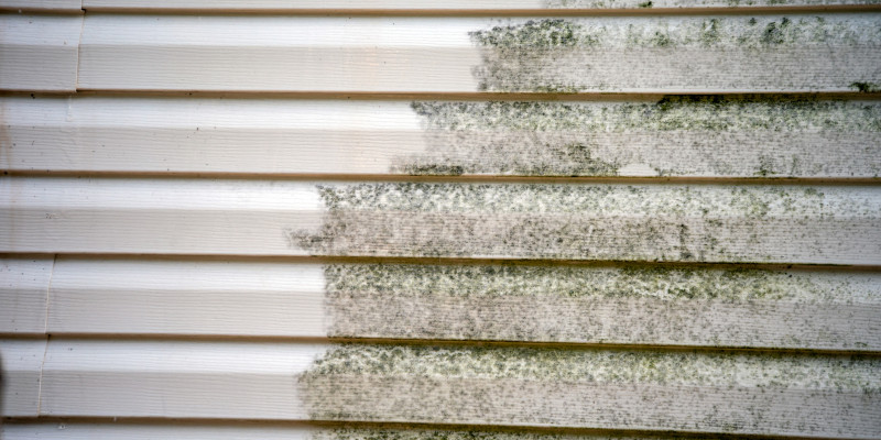 Revitalize Your Home’s Exterior with Siding Softwashing