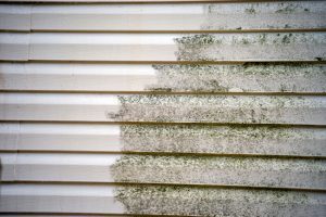 Experience the Advantages of Siding Softwashing